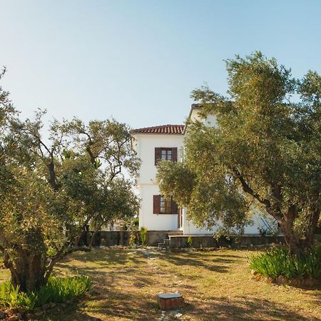 Βίλλα Φανούλα Villa Fanoula Khórto Eksteriør bilde