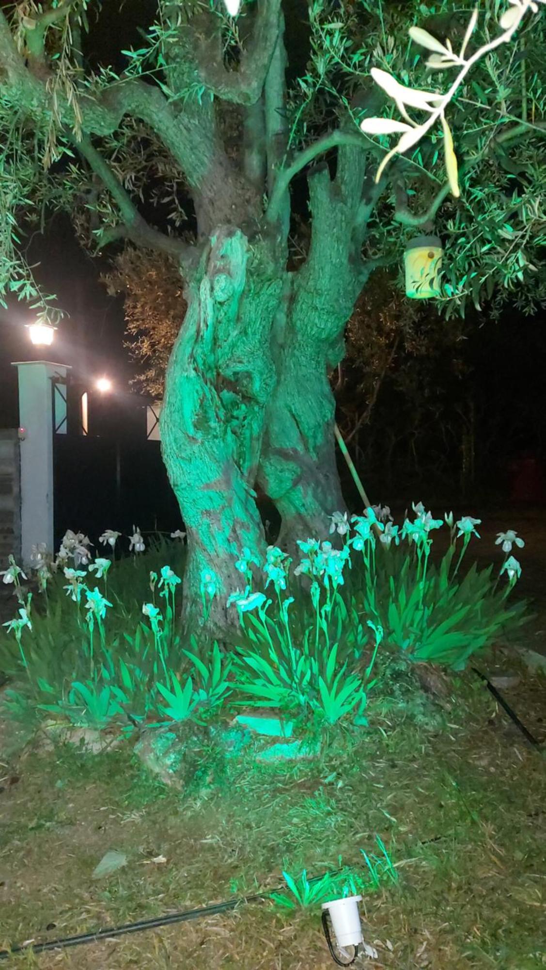 Βίλλα Φανούλα Villa Fanoula Khórto Eksteriør bilde